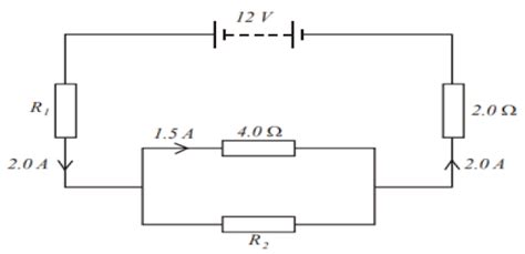 CBSE Sample Paper: Science 2024-25 | Axisa Academy