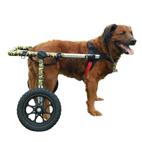 Dog Wheelchair Front And Back Legs at Isabella Lansell blog