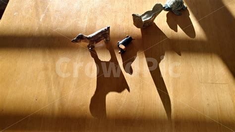 Image result for Computer Science Background Light