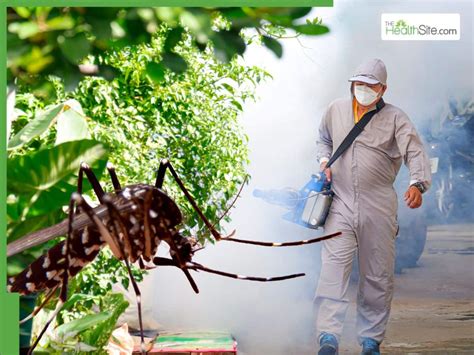 Deadly Dengue Outbreak Grips Bangladesh: Hospitals Overflowing As ...