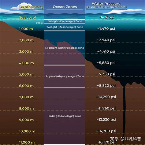 海洋深处充满了奇迹和神秘，你了解多少？ - 知乎