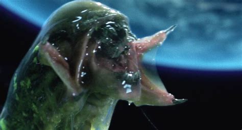 Image result for Alien vs Predator Baby