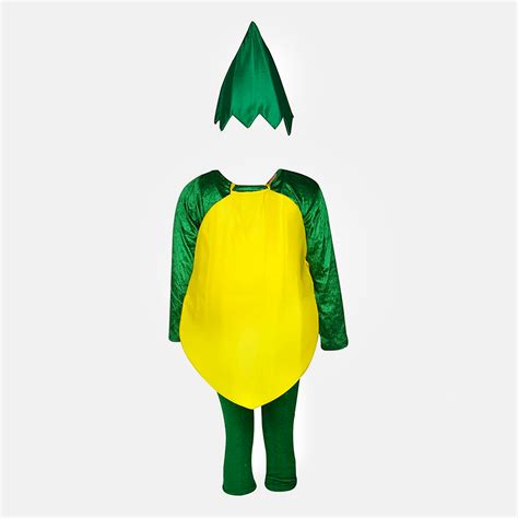 Kids Vegetables Fancy Dress & Costume school function Theme Party - Ye ...