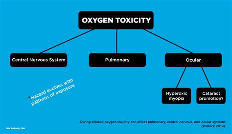 Benefits and Hazards of High Oxygen Partial Pressure – Shearwater Research Inc