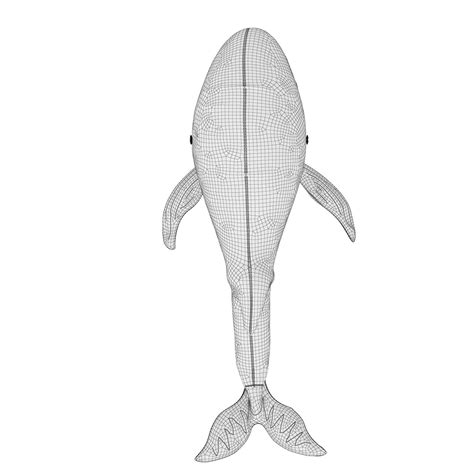 Image result for Whale 3D Tutorial SolidWorks