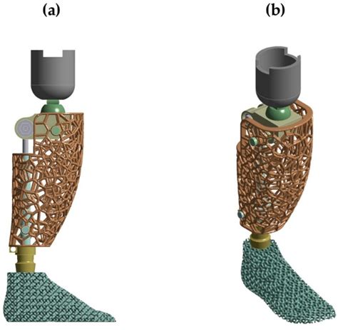Topologically Optimized Anthropomorphic Prosthetic Limb: Finite Element ...