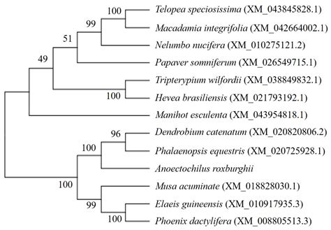 Molecular and Functional Analysis of Trehalose-6-Phosphate Synthase ...