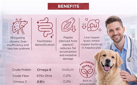 Vetsens Hepatic Support Dog Food, Tailored Nutritional Support for ...