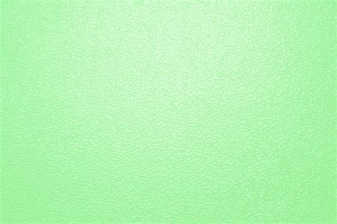 Download Light Green Background | Wallpapers.com