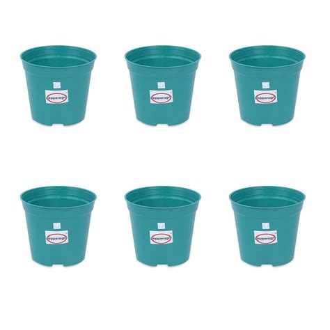 Pepper Agro Plastic Flower Pot, Green, 6 in, 6 Pieces : Amazon.in ...