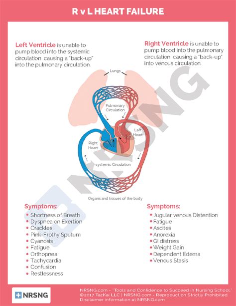 Cardiac-1 - Right vs left heart failure - NRSNG - “Tools and Confidence to Succeed in Nursing ...