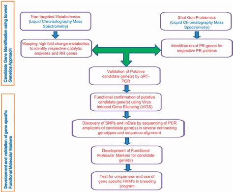 Genetic Engineering Process 的图像结果