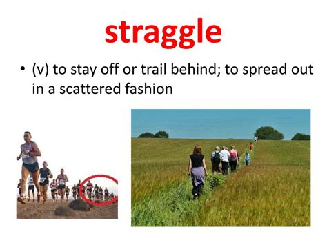 Straggle Person 的图像结果