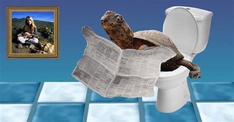 Image result for Softshell Turtle Poop