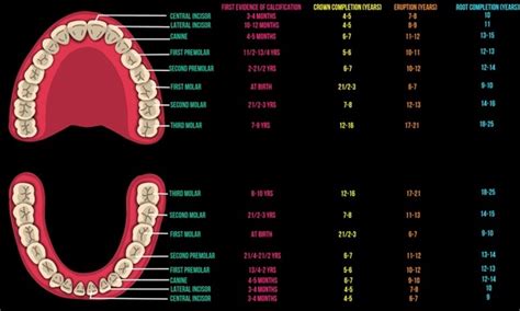 Image result for Python Tutorial Input