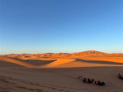 MOROCCO GOLDEN DESERT TRIPS (2026) All You Need to Know BEFORE You Go ...
