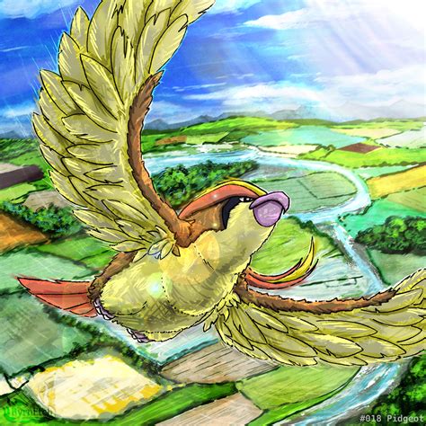 Image result for Pidgeotto Evolution Levels