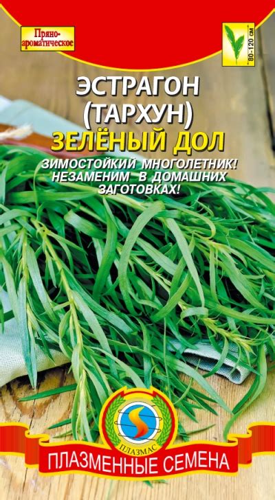 Тархун (эстрагон). Применение и полезные свойства эстрагона