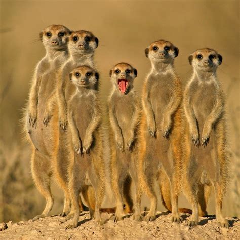 Ein kleines Rätsel - Community - Schlechte Witze