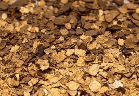 Vibrant Flooring Colors | Gold Coast Floor Finishers