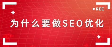 网站优化公司seo案例(seo案例单词优化) - 知乎