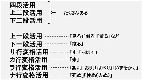 Auto Docstring Visual Studio 的图像结果