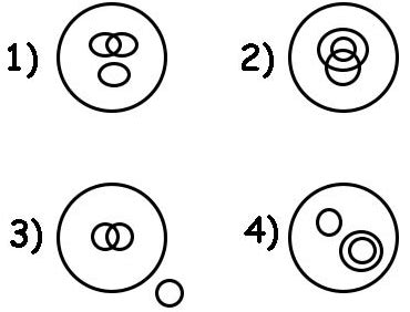 Practice Questions: Logical Venn Diagram - Logical Reasoning for CLAT ...
