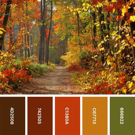 30 Fall Color Palettes for Earthy Designs - Color Meanings | Fall color ...
