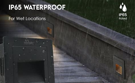 Murphy 3W Wall Step Conceal Light Outdoor and Indoor LED Foot Light ...