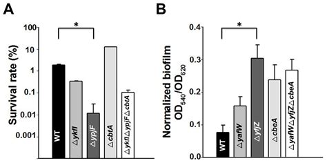 Interaction of Type IV Toxin/Antitoxin Systems in Cryptic Prophages of ...
