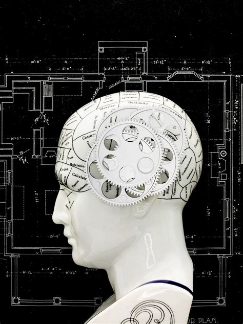 Source Amnesia Psychology