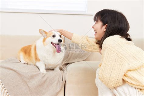 女性在家陪宠物狗玩耍高清图片下载-正版图片502360100-摄图网