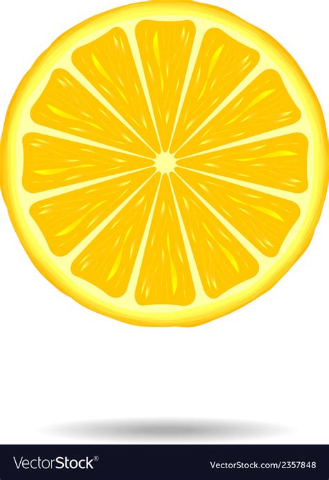 Image result for Lemon Slice Vector