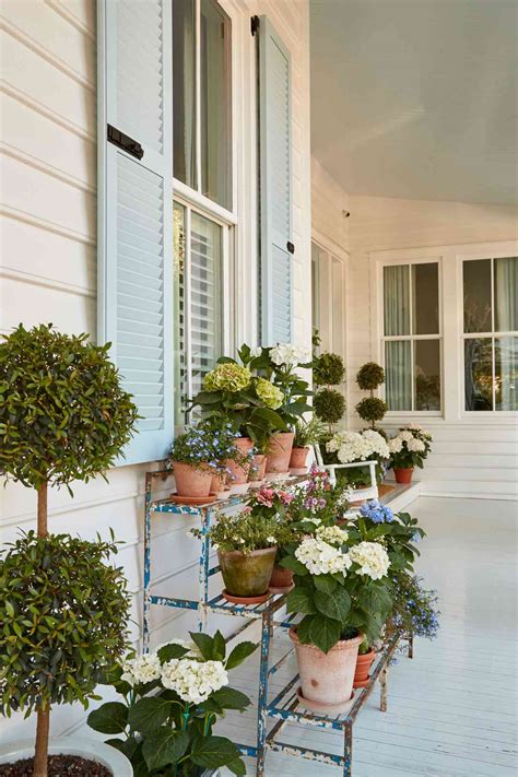 27 Ways To Grow Hydrangeas In Containers