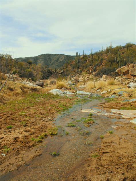 Agua Fria River Az