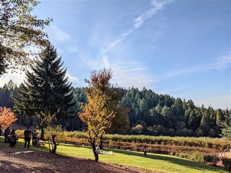 Apple Hill: A Guide to the Perfect California Fall Destination ...