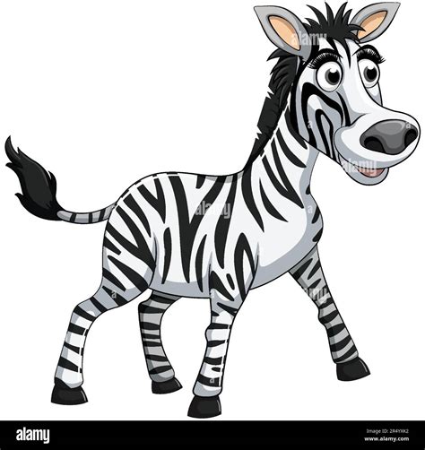 Image result for Zebra Cartoon