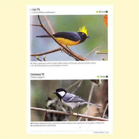 Birds of Buxa Tiger Reserve – The Bengal Store