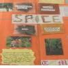 real spices chart paste on chart paper of Class 8 project chart ...