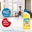 Lizol Disinfectant Surface & Floor Cleaner combo 500ML (Pack of 4 ...