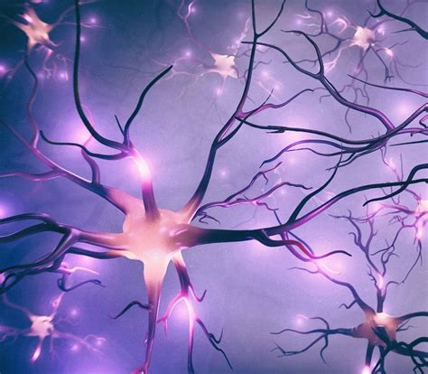 ¿Qué es la astenia primaveral? | Tu canal de salud