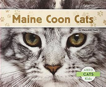 Maine Coon Cats : Dash, Meredith: Amazon.in: Books