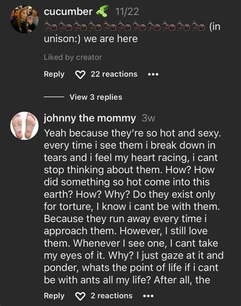 Funny Comment Sections 的图像结果