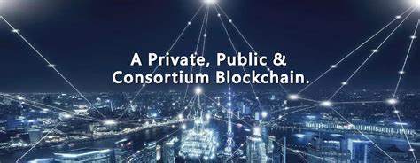 Types of Blockchain 的图像结果