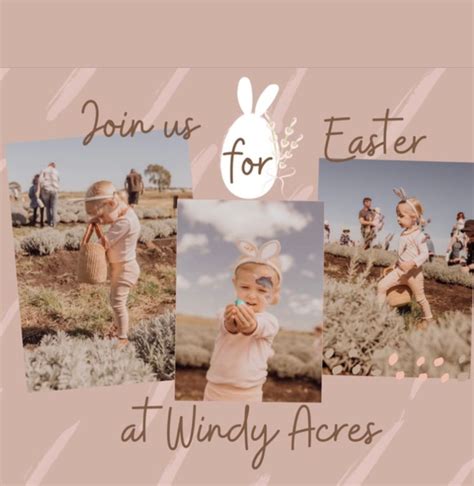 Easter Egg Hunt in the Lavender, Windy Acres Farm, Westbrook, 30 March ...