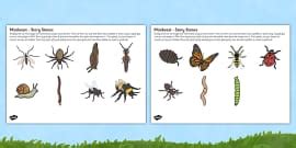 Easter Egg Story Stone Image Cut Outs (teacher made)