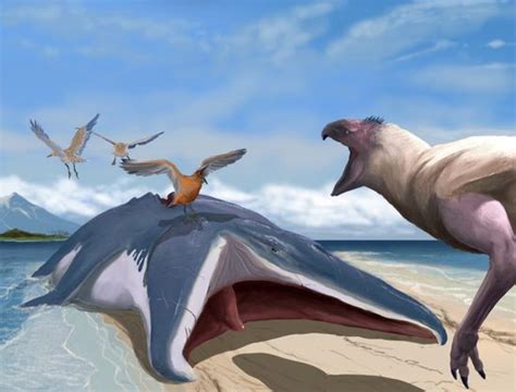 Future Animals 的图像结果