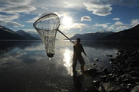 Hooligan fishing peaks along Turnagain Arm - Anchorage Daily News