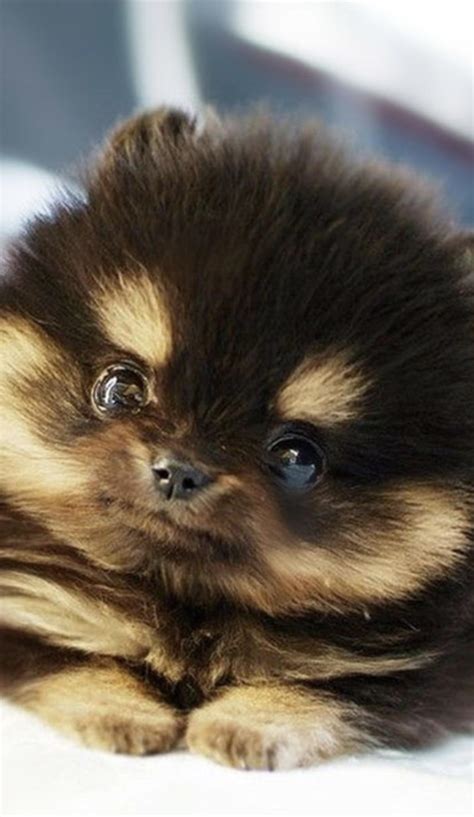 Positive vibes and don’t think you can escape the vibes they will find you and they will cheer you up :D : u/official-chara