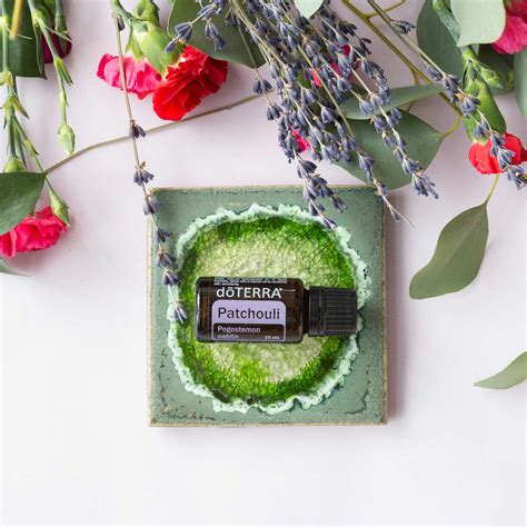 What Is Patchouli Essential Oil Good For? | dōTERRA Essential Oils